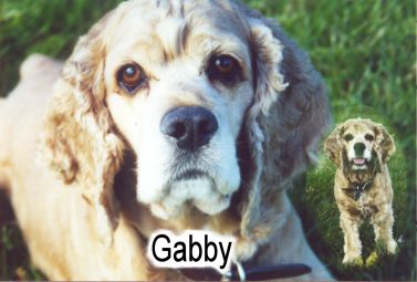 Click to enter Gabby's Page