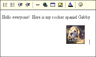 MSN Tutorial -- Adding Pictures to Message